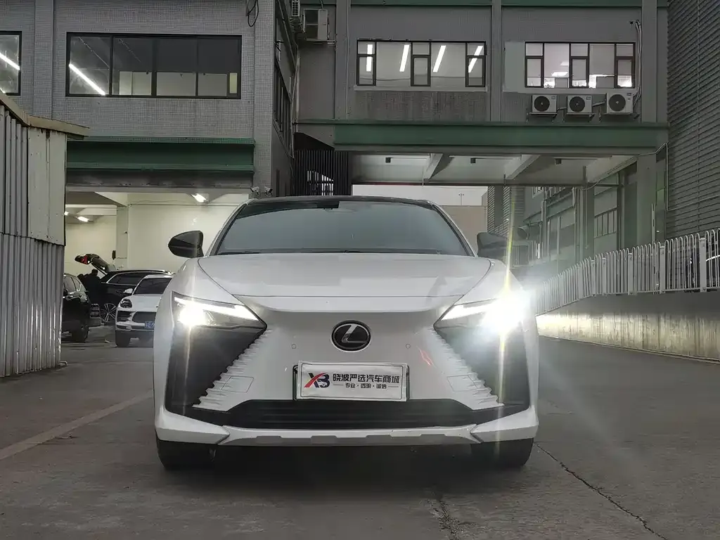Lexus RZ — фото 8