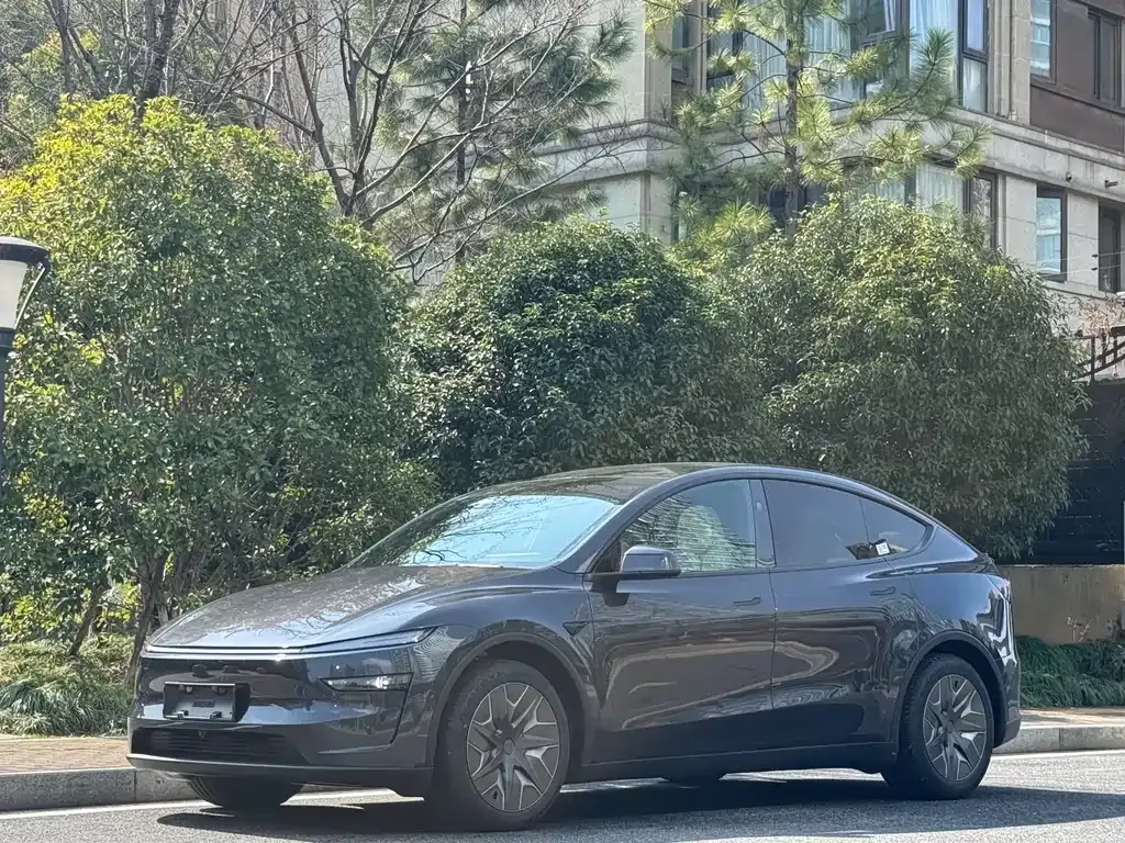 Tesla Model Y L — фото 1