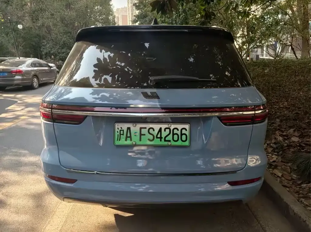Li Auto ONE 2022 из CN, фото 8