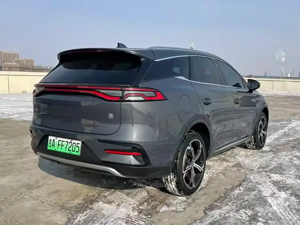 BYD Tang 2022 из CN, фото 8