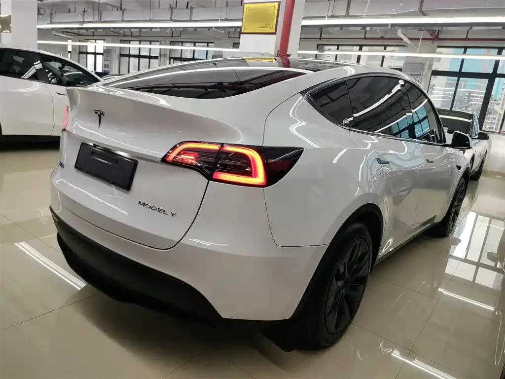 Tesla Model Y — фото 8