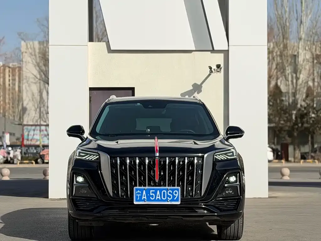 Hongqi HS5 2023 из CN, фото 5