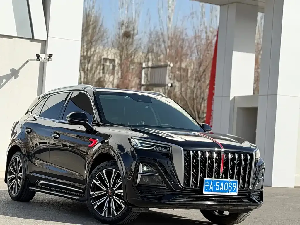 Hongqi HS5 2023 из CN, фото 6