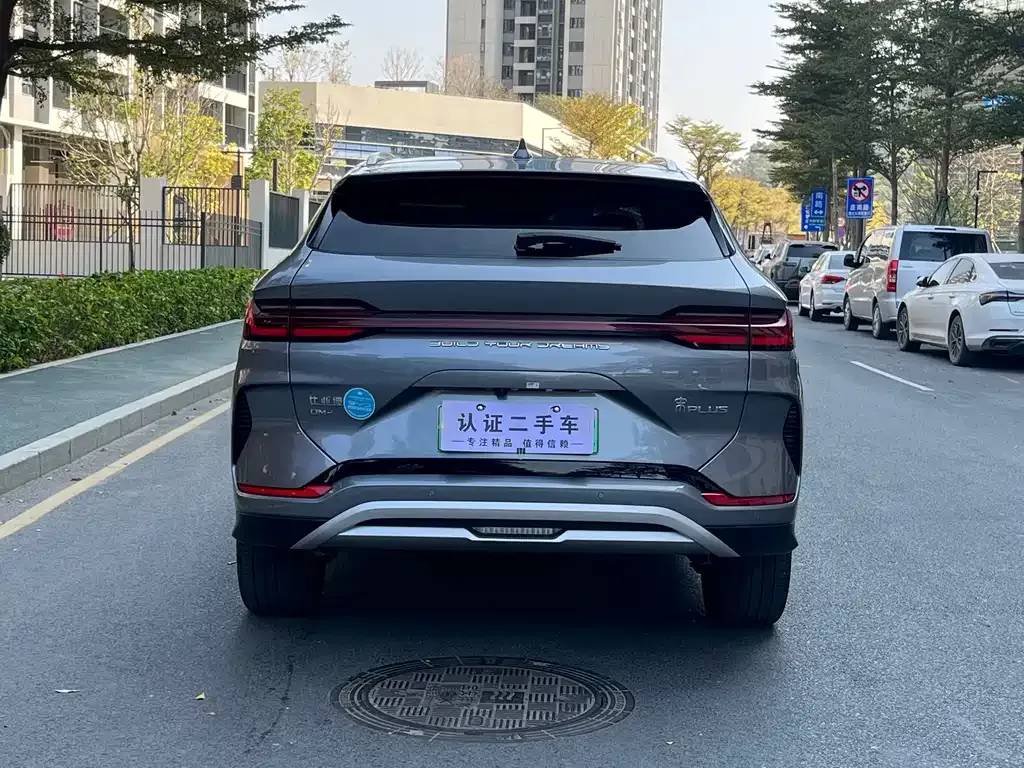 BYD PLUS New Energy — фото 4