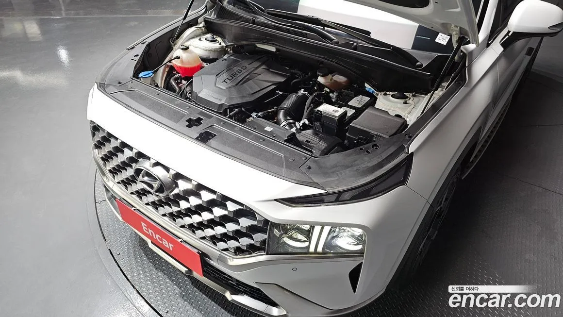 Hyundai Santafe 2022 из KR, фото 8