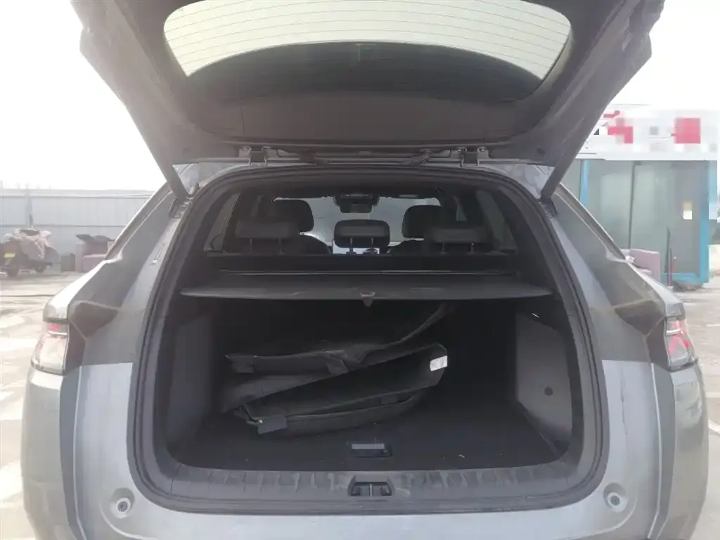BYD L DM-i — фото 8
