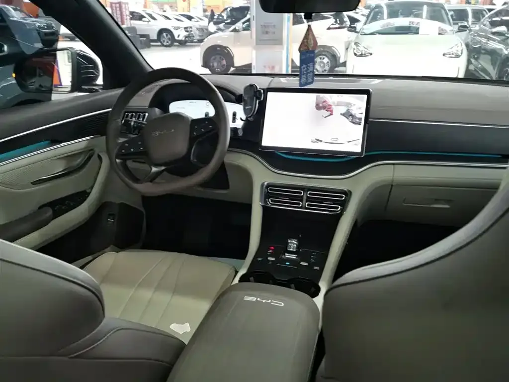 BYD PLUS New Energy 2025 из CN, фото 10