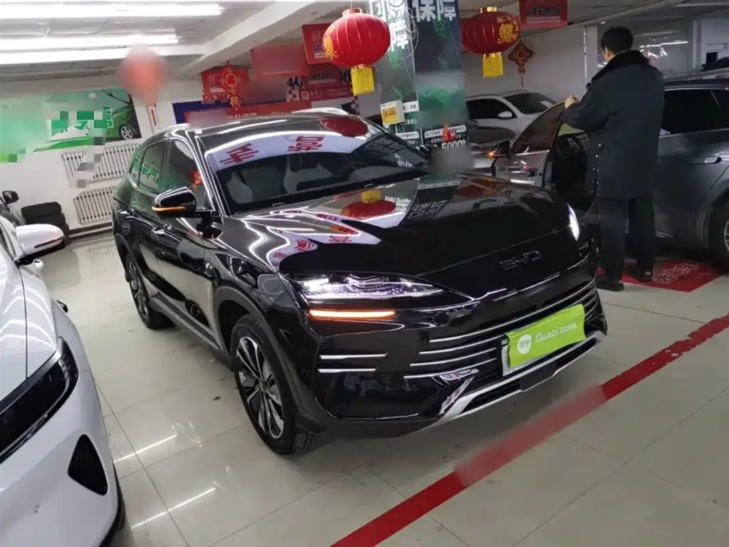 BYD PLUS New Energy 2025 из CN, фото 2