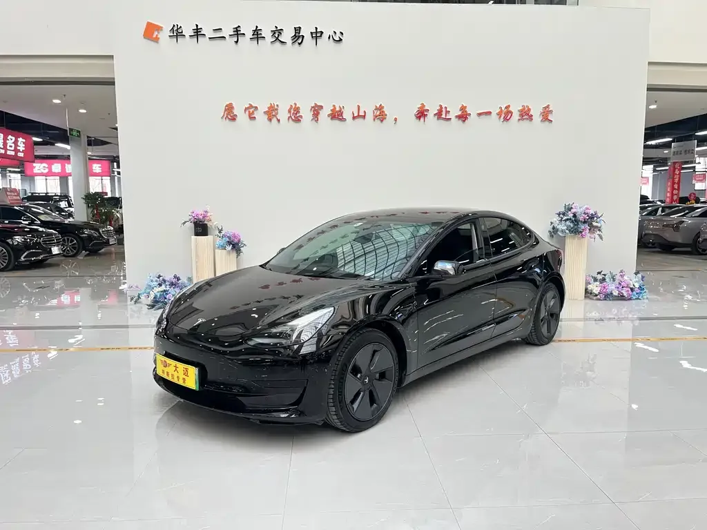 Tesla Model 3 2021 из CN, фото 1
