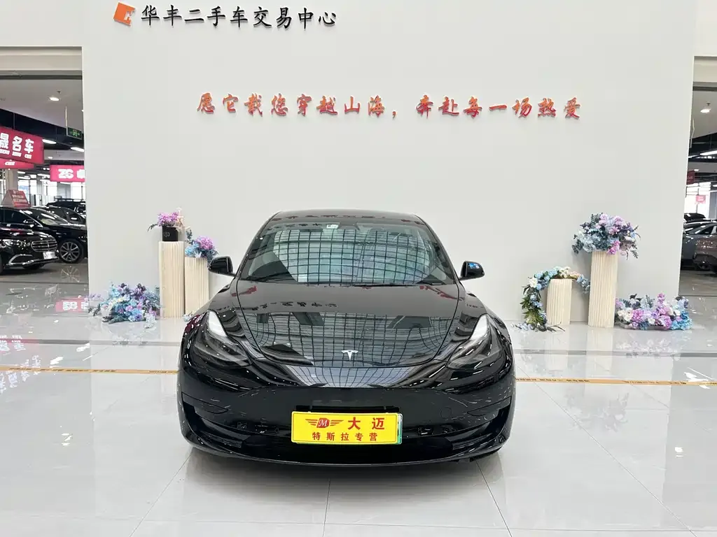 Tesla Model 3 2021 из CN, фото 9