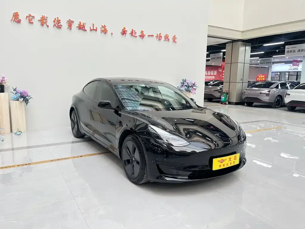 Tesla Model 3 2021 из CN, фото 7
