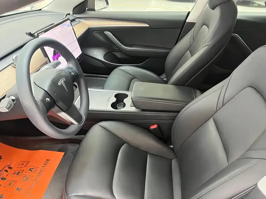 Tesla Model 3 2021 из CN, фото 6