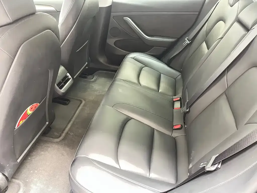 Tesla Model 3 2021 из CN, фото 5