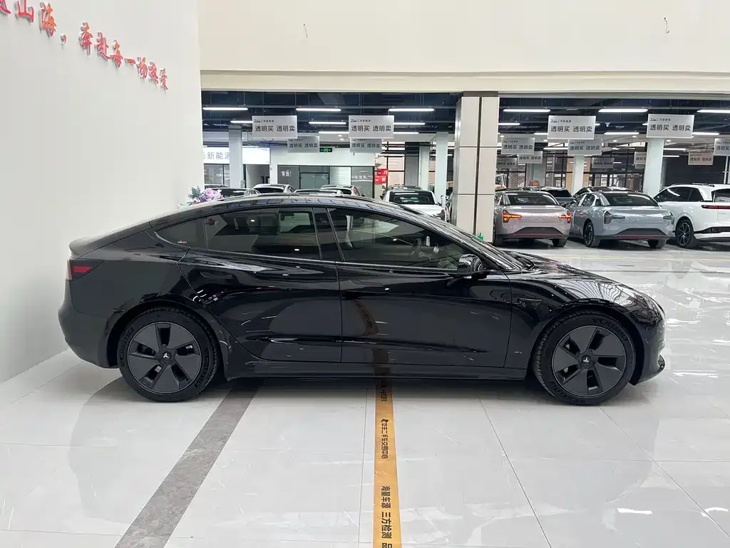 Tesla Model 3 2021 из CN, фото 2