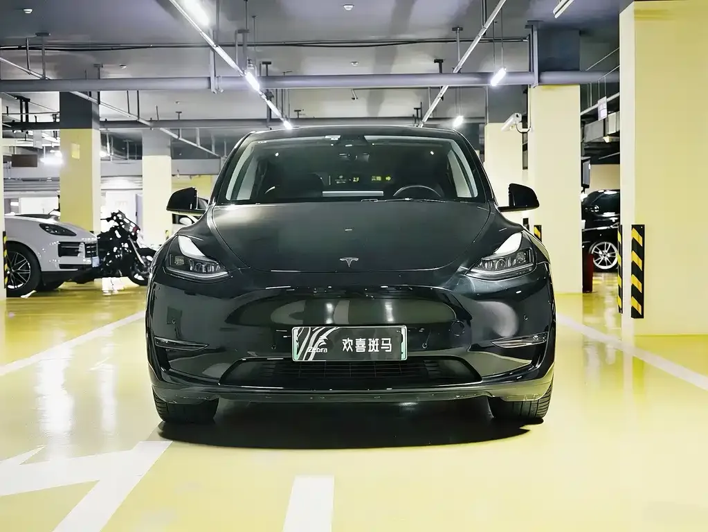 Tesla Model Y — фото 9