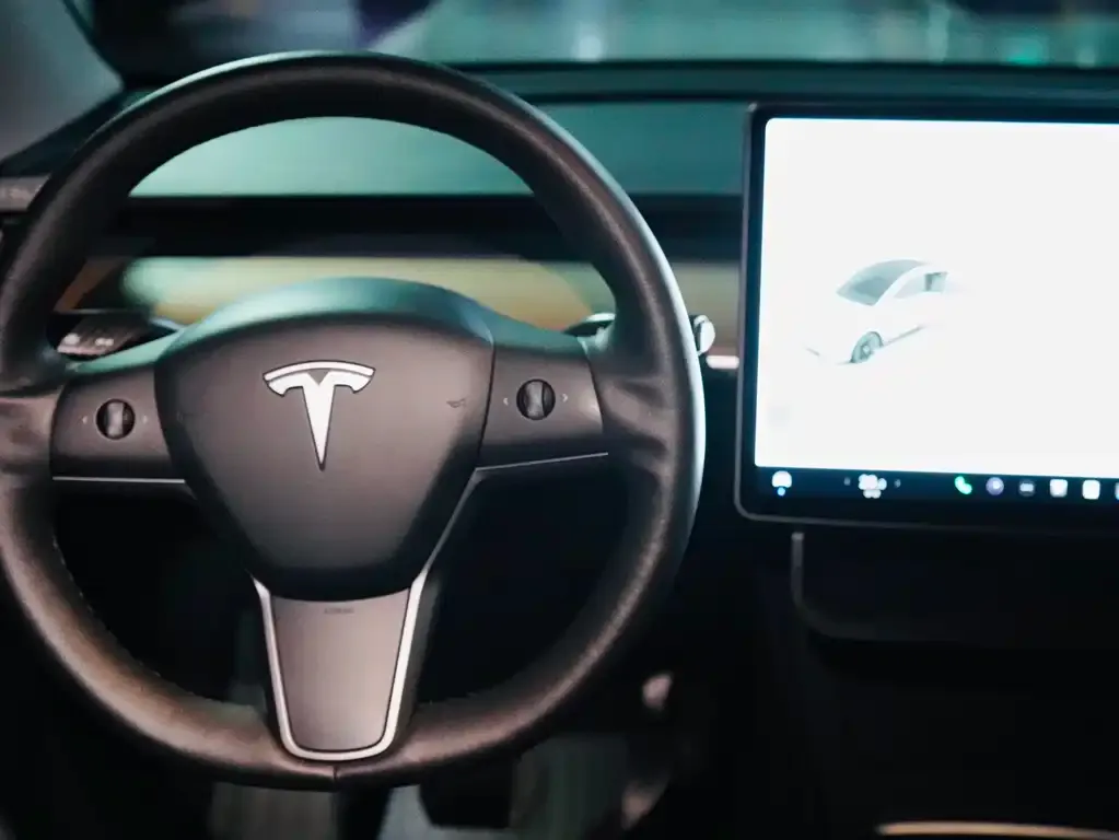 Tesla Model Y — фото 2