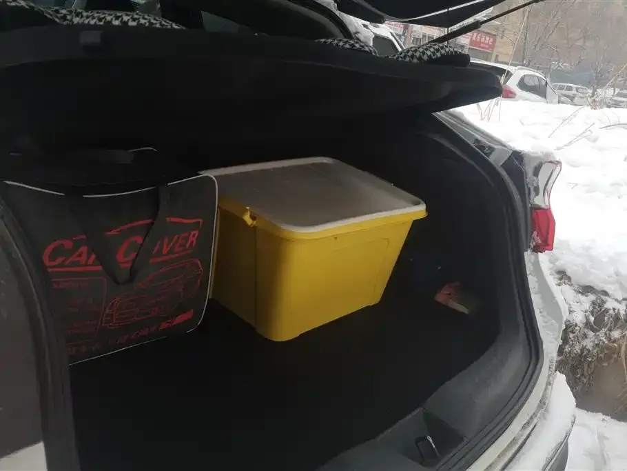 Toyota IZOA 2022 из CN, фото 9