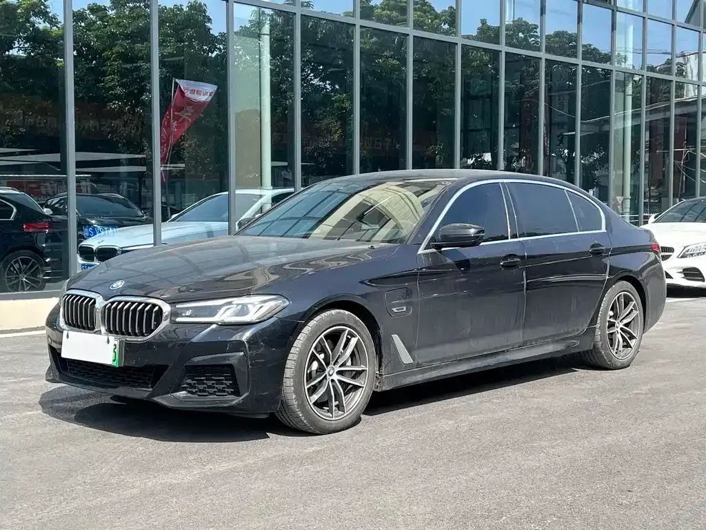 BMW 5 Series New Energy 2022 из CN, фото 1