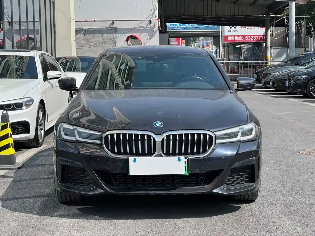 BMW 5 Series New Energy 2022 из CN, фото 8