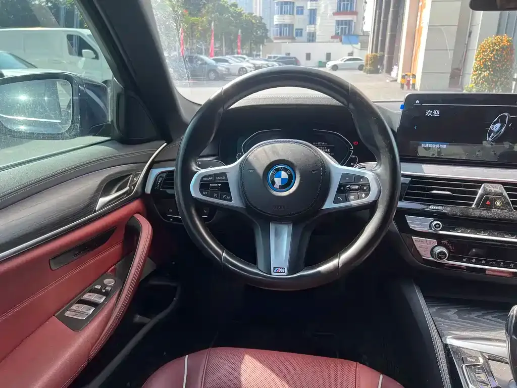 BMW 5 Series New Energy 2022 из CN, фото 4