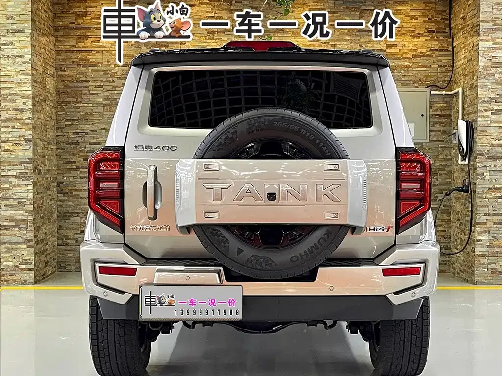 Tank 400 New Energy 2024 из CN, фото 5