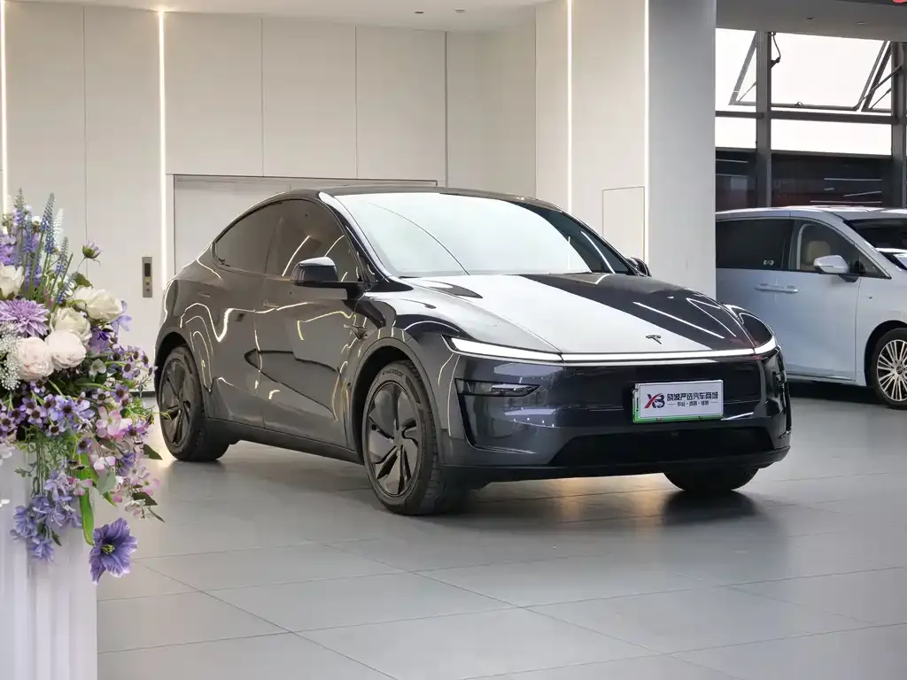 Tesla Model Y — фото 3