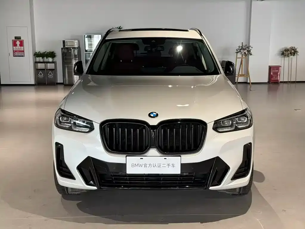 BMW X3 2023 из CN, фото 10