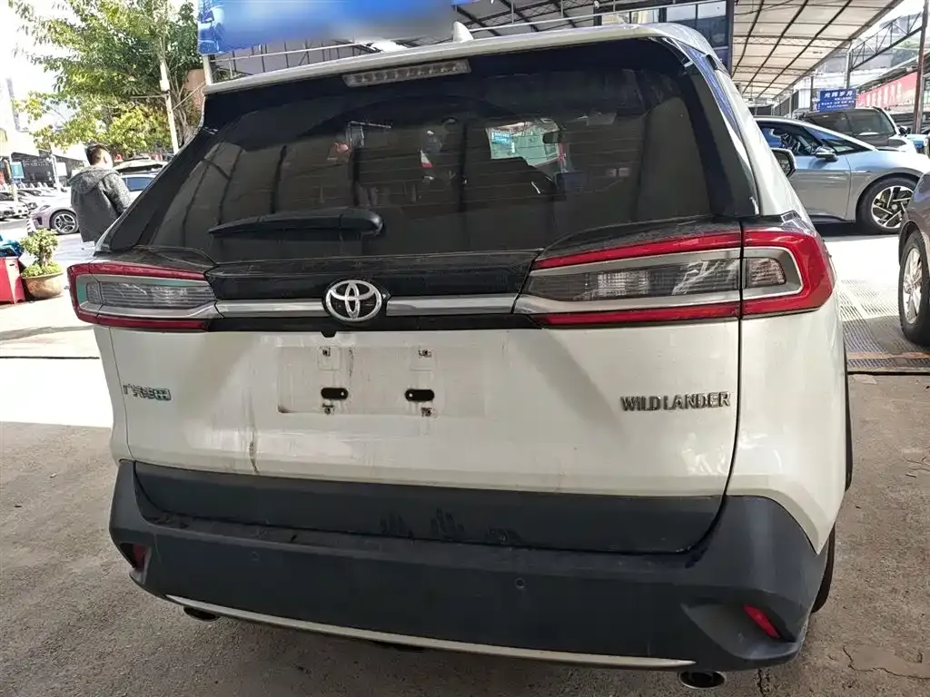 Toyota Wildlander 2021 из CN, фото 5