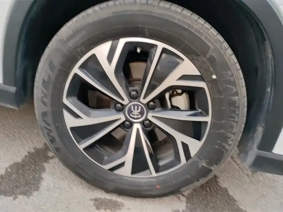 BYD Pro New Energy — фото 10
