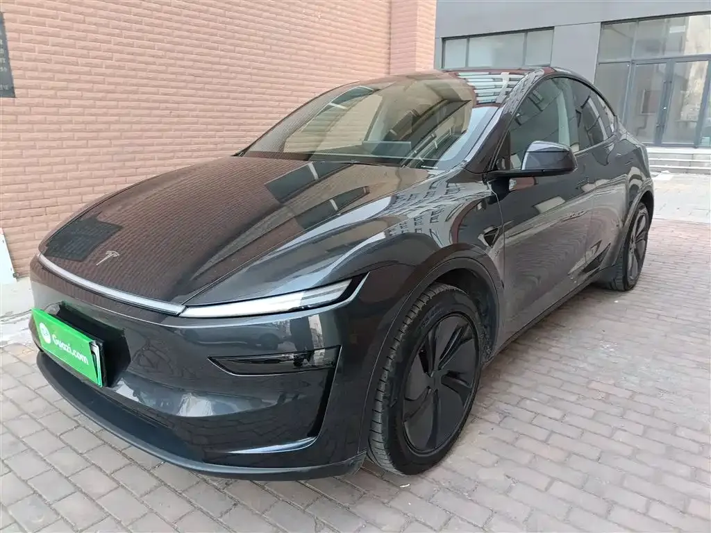 Tesla Model Y 2025 из CN, фото 1