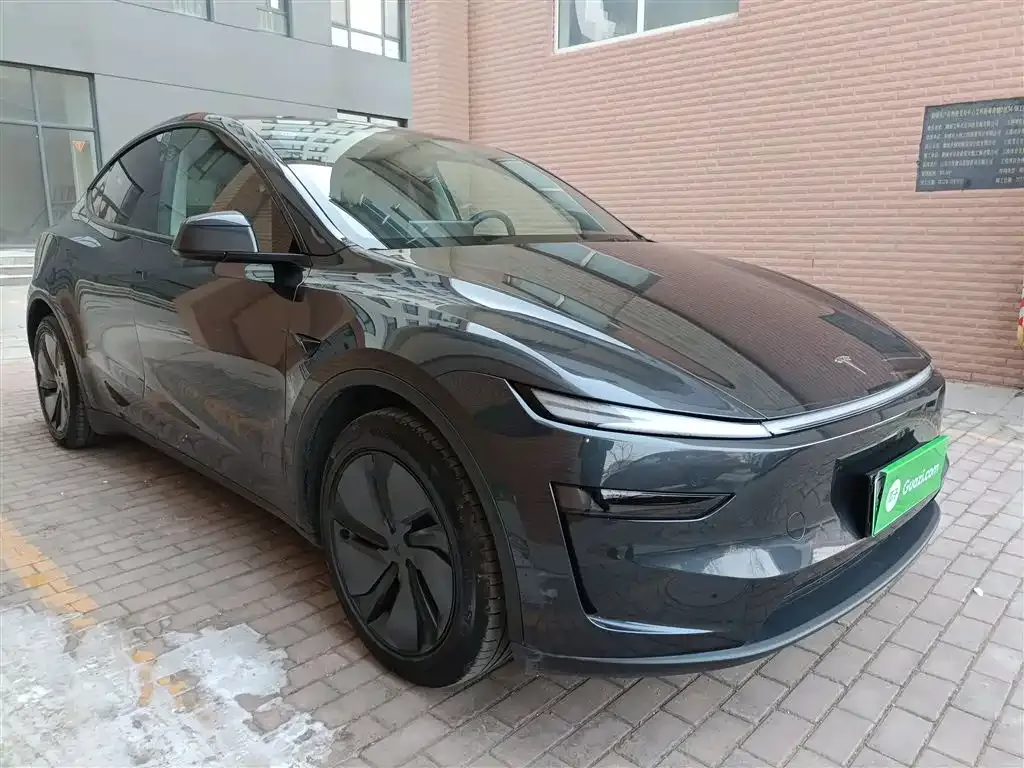 Tesla Model Y 2025 из CN, фото 8
