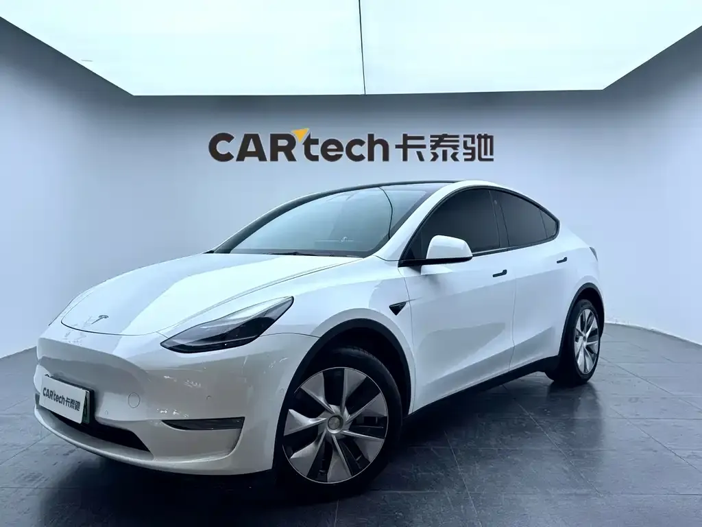 Tesla Model Y 2021 из CN, фото 1