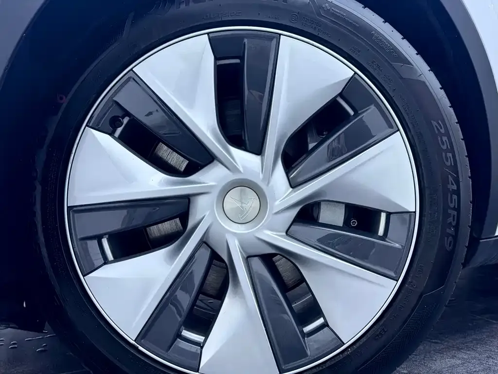 Tesla Model Y 2021 из CN, фото 9