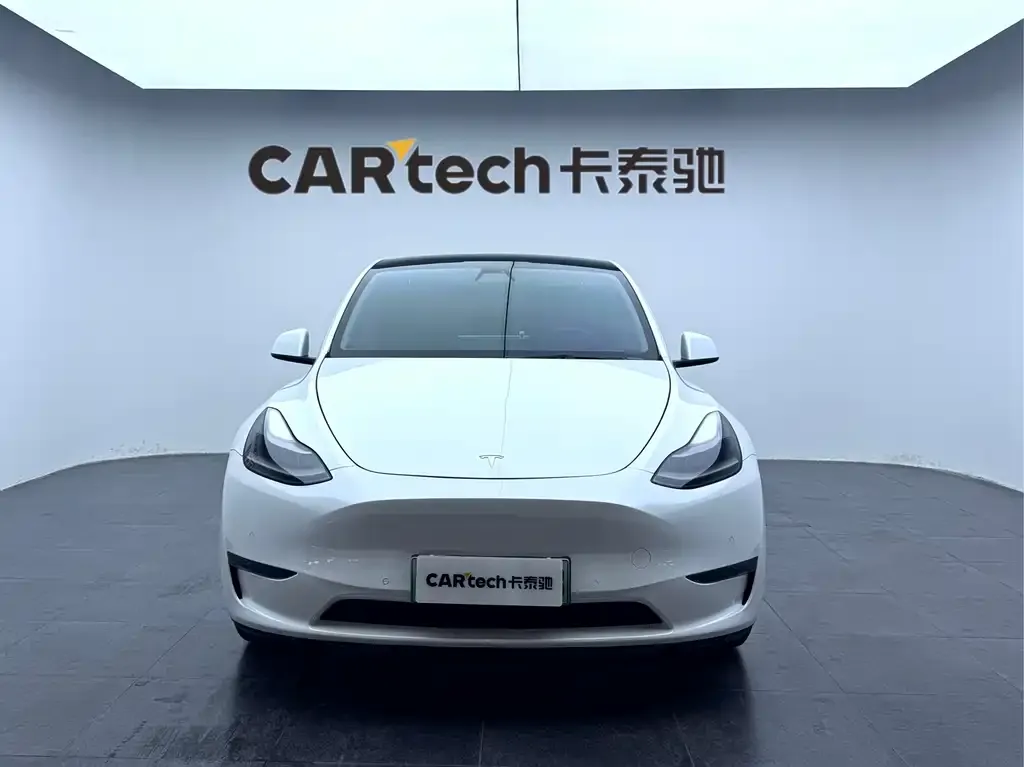 Tesla Model Y 2021 из CN, фото 4