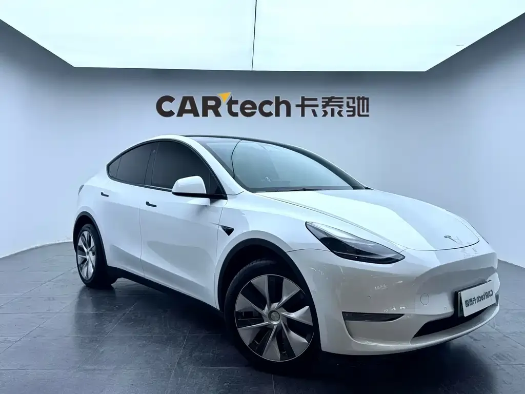 Tesla Model Y 2021 из CN, фото 6