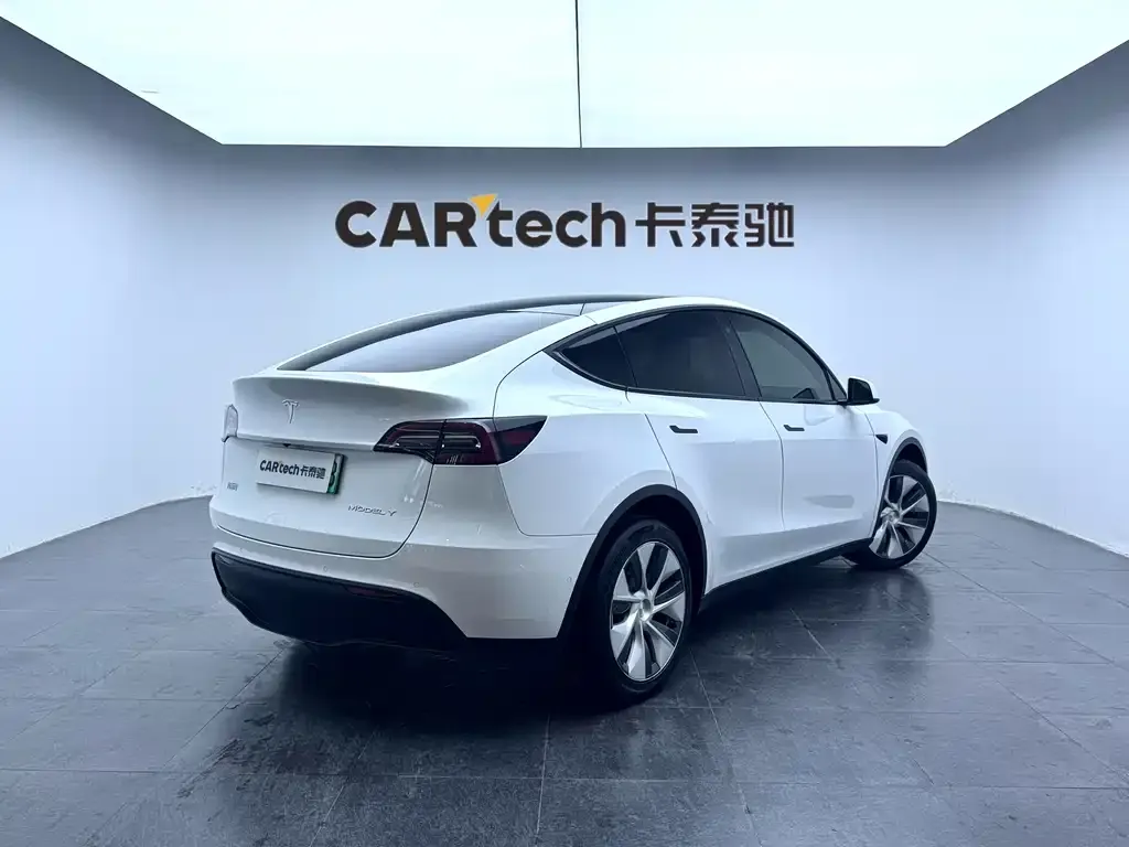 Tesla Model Y 2021 из CN, фото 7