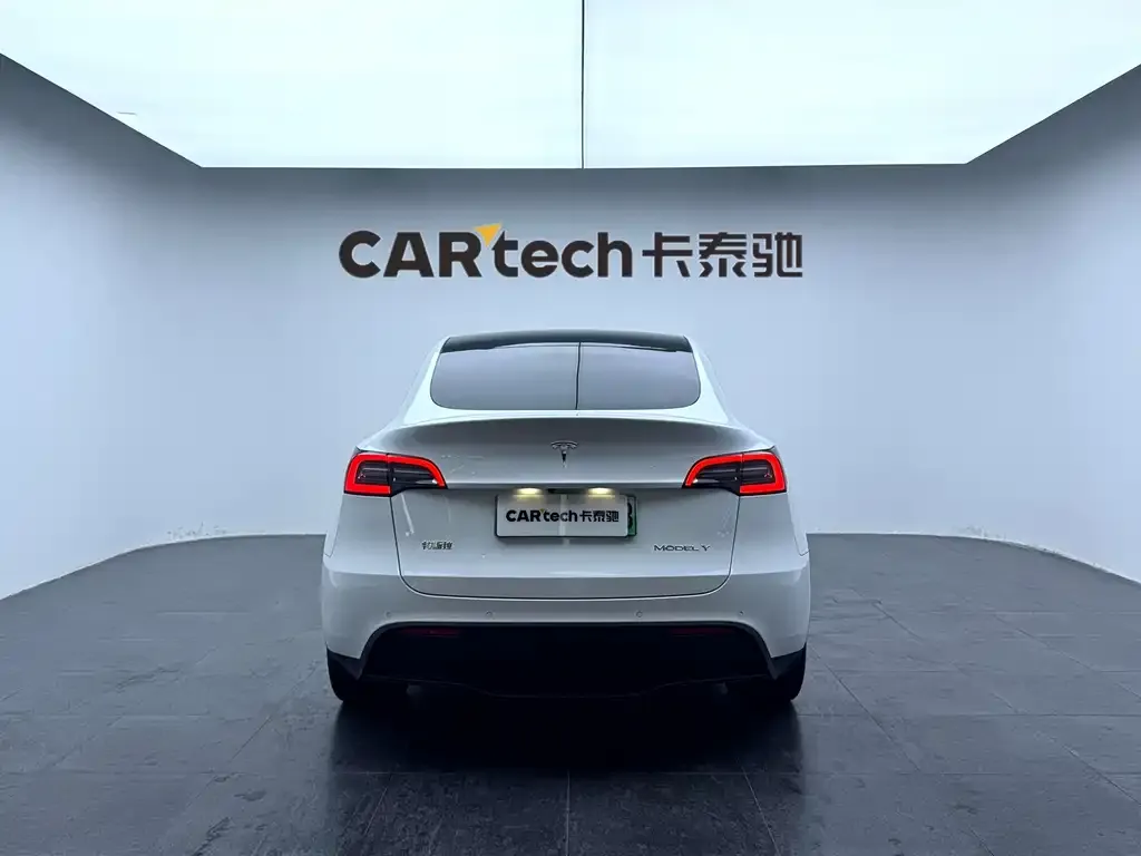 Tesla Model Y 2021 из CN, фото 2