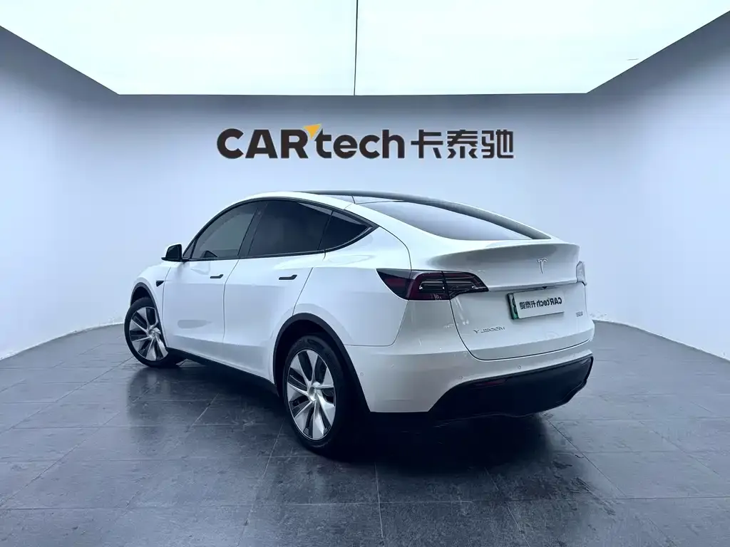 Tesla Model Y 2021 из CN, фото 8