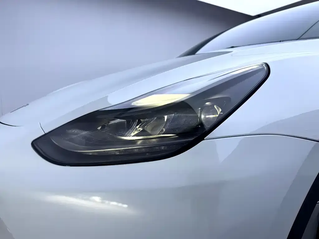 Tesla Model Y 2021 из CN, фото 5