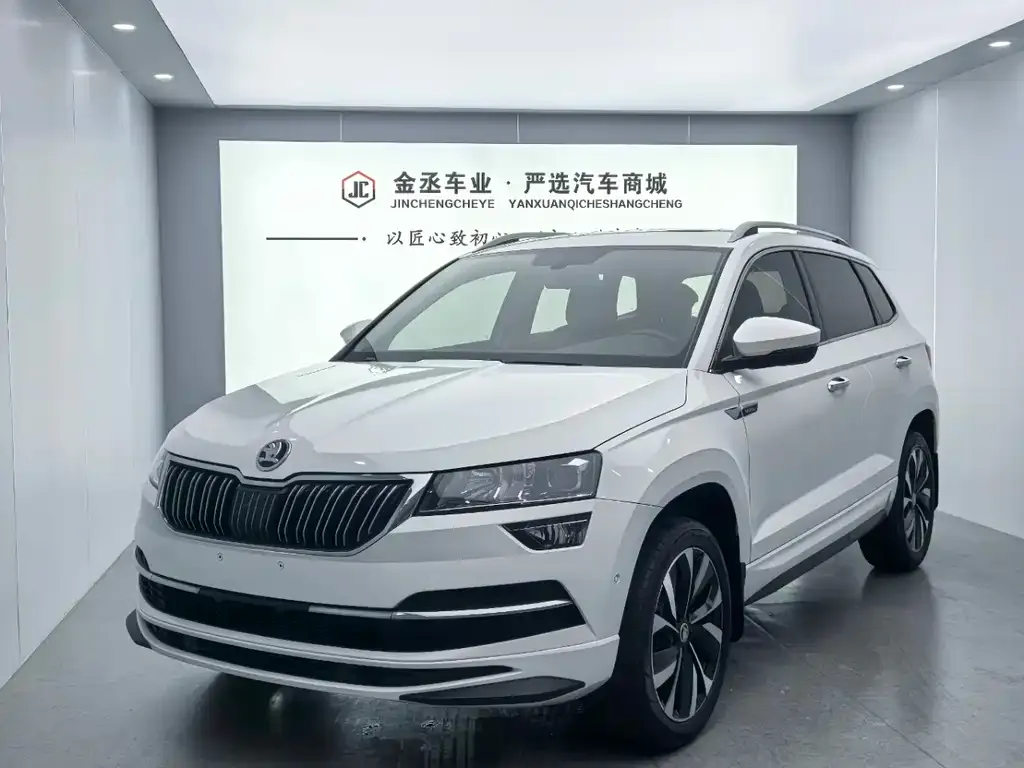 Skoda Karoq 2022 из CN, фото 1