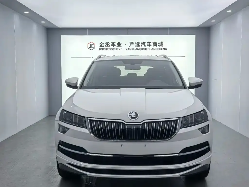 Skoda Karoq 2022 из CN, фото 3