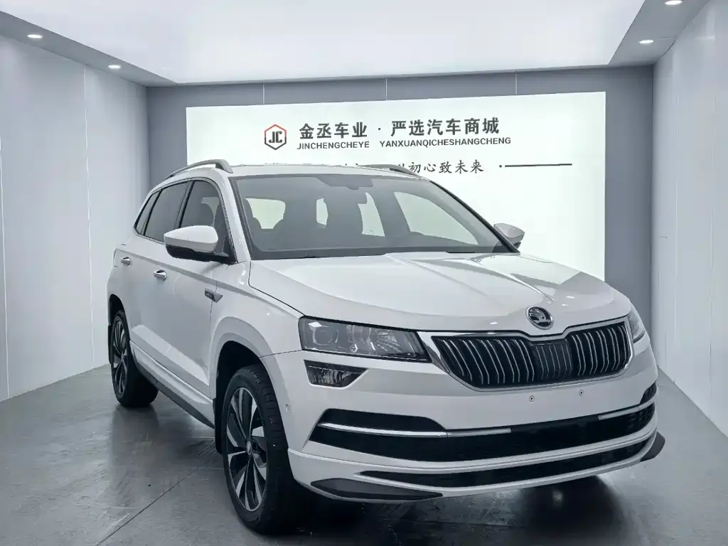 Skoda Karoq 2022 из CN, фото 8