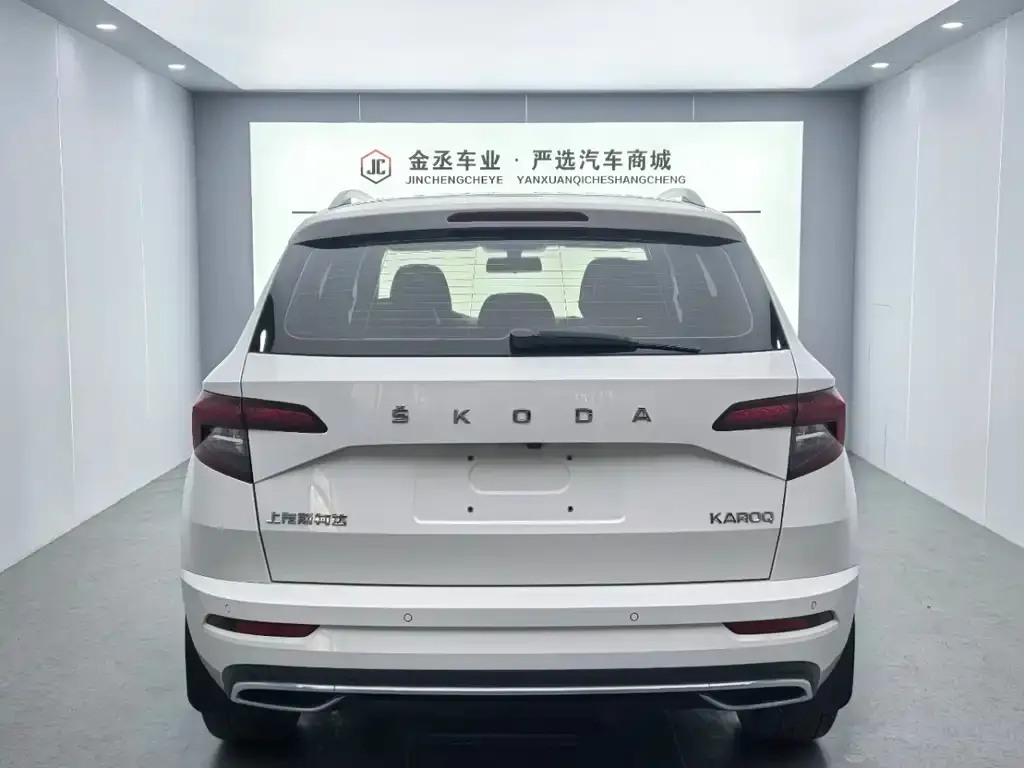 Skoda Karoq 2022 из CN, фото 6