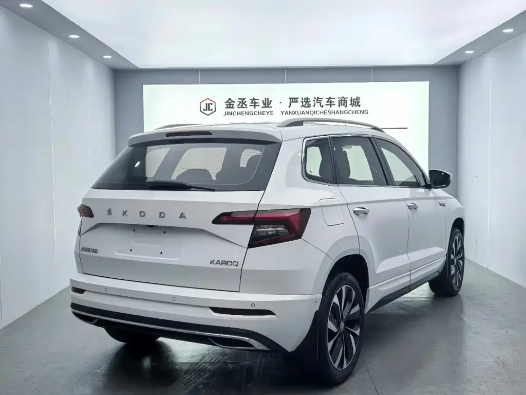 Skoda Karoq 2022 из CN, фото 2