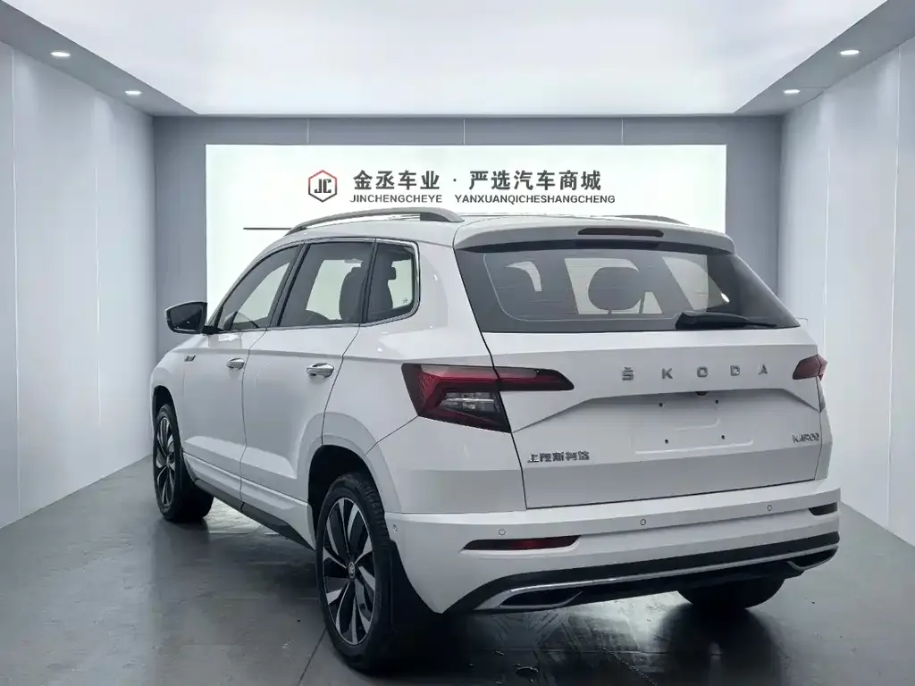 Skoda Karoq 2022 из CN, фото 5