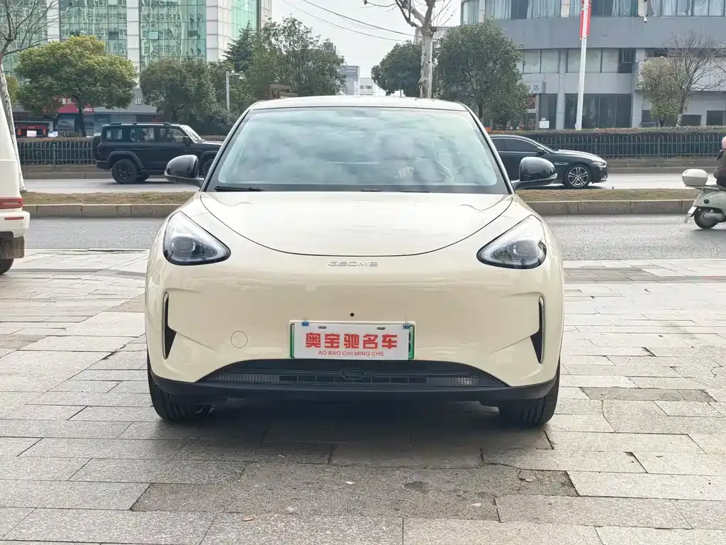 Geely Starburst — фото 9