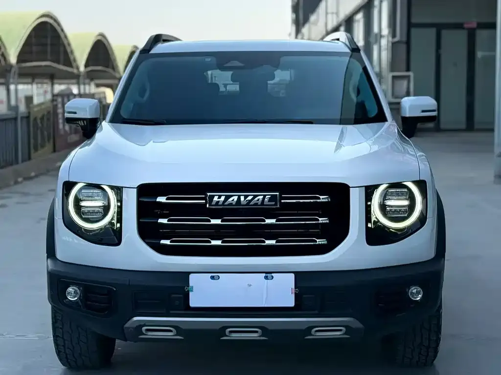 Haval Big Dog 2021 из CN, фото 4