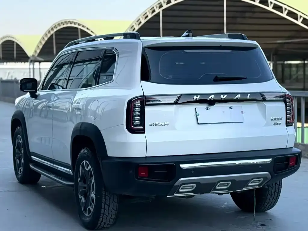 Haval Big Dog 2021 из CN, фото 10