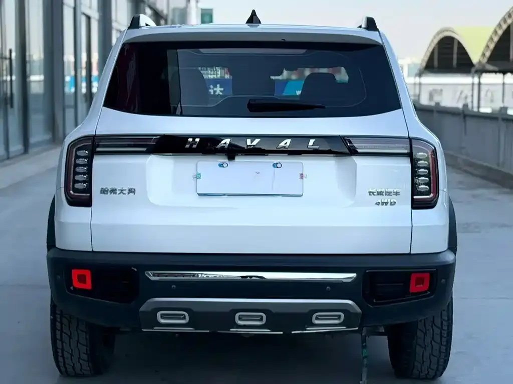 Haval Big Dog 2021 из CN, фото 3