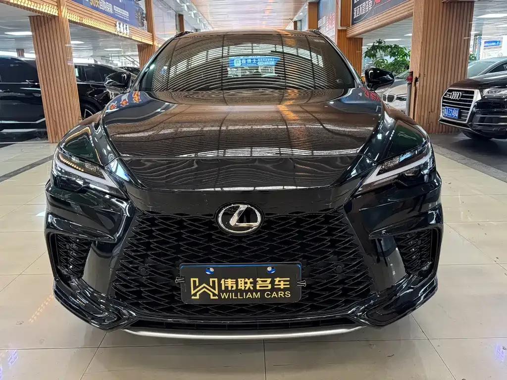 Lexus RX 2023 из CN, фото 10